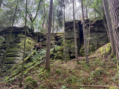 Naturpark Südeifel Wanderweg Nr. 55 - Bollendorf