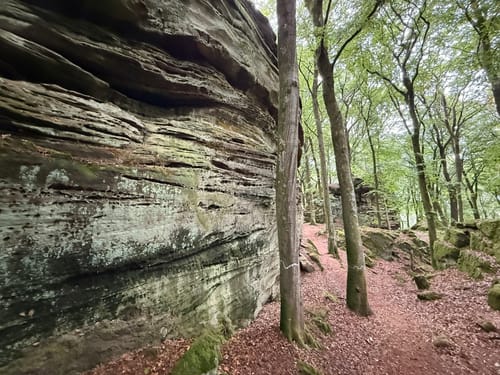 Naturpark Südeifel Wanderweg Nr. 55 - Bollendorf