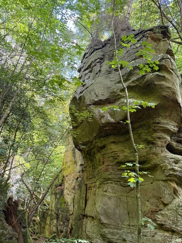 Naturpark Südeifel Wanderweg Nr. 55 - Bollendorf
