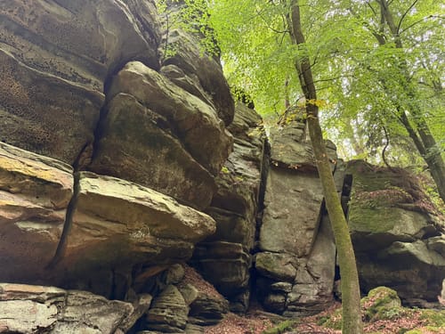 Naturpark Südeifel Wanderweg Nr. 55 - Bollendorf