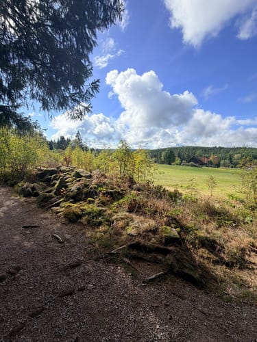 Kniebiser Heimatpfad (Genießerpfad)
