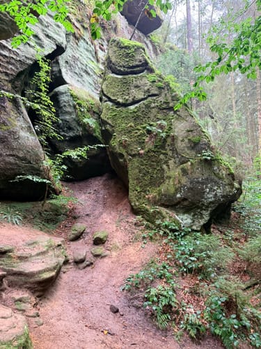 Von Wehlen zur Bastei