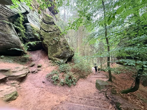Von Wehlen zur Bastei