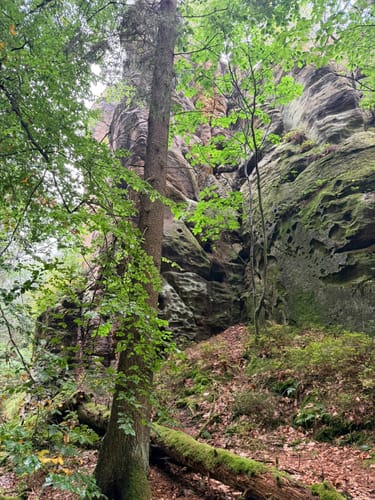 Von Wehlen zur Bastei