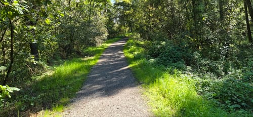 Entlang am Hochwasserdamm