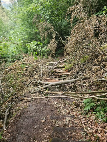 Irreler Wasserfälle - Teufelsschlucht