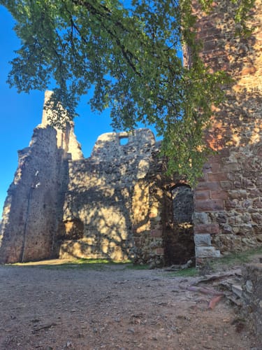 Durch den Wald zur Kastelburg