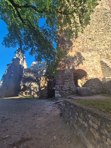 Durch den Wald zur Kastelburg
