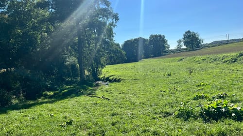 Gerresheim: Rotthäuser Bachtal