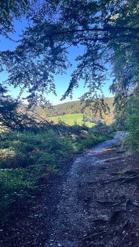 Gerresheim: Rotthäuser Bachtal