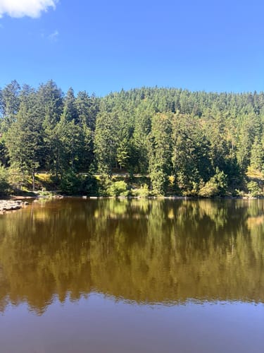 Mummelsee-Hornisgrindepfad