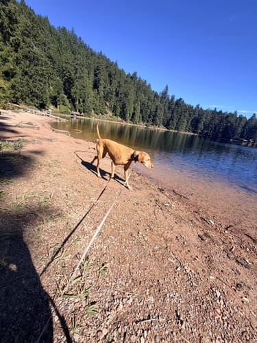 Mummelsee-Hornisgrindepfad