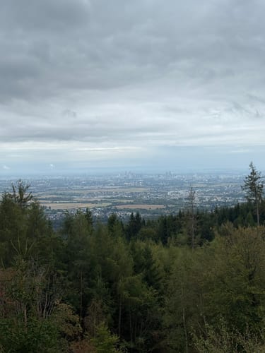 Kastell Saalburg - Herzberg