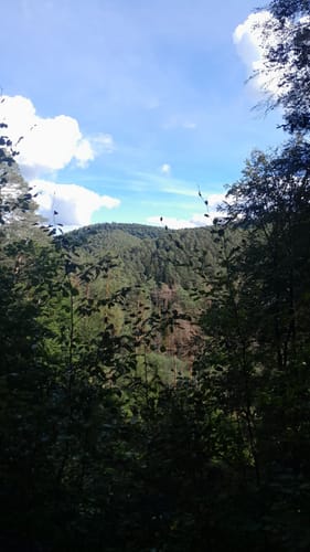 Büttelwoog - Am Hinterstell - Hohle Felsen