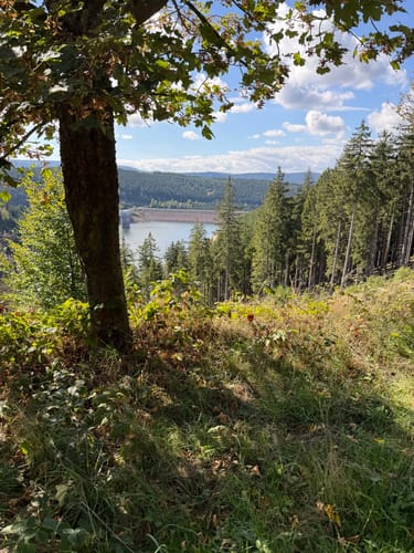 Rundweg um die Schmalwasser Talsperre