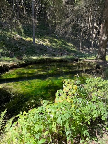 Rundweg um die Schmalwasser Talsperre