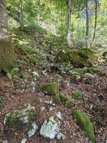 Chiemseeblick (Premiumwanderweg Alpin)