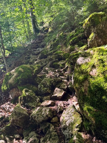 Chiemseeblick (Premiumwanderweg Alpin)
