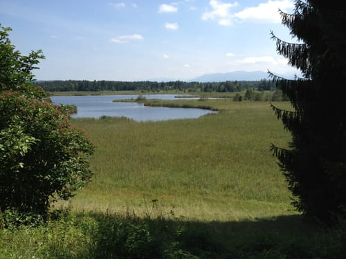Osterseen-Wanderweg 10