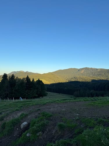 Grünten ab Wanderparkplatz Großer Wald