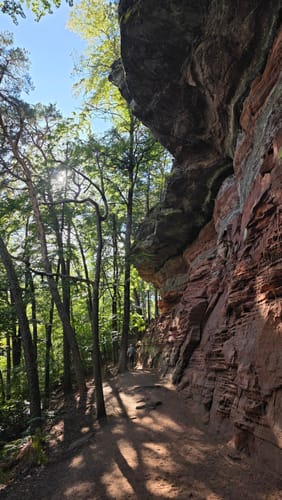 Les Falaises Rouges d'Altschlossfelsen