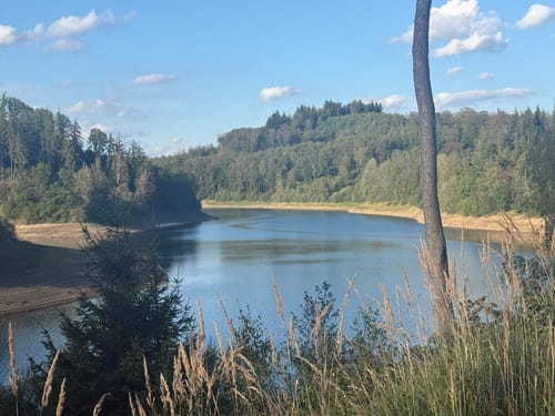 Lantenbach Rundweg A4