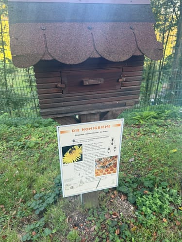 Lantenbach Rundweg A4
