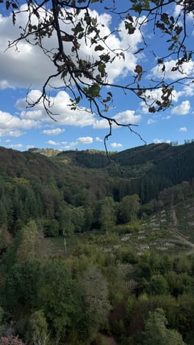Nat'our Route 2 - Mittleres Ourtal (Premiumwanderweg)
