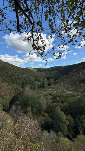 Nat'our Route 2 - Mittleres Ourtal (Premiumwanderweg)