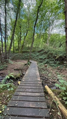 Nat'our Route 2 - Mittleres Ourtal (Premiumwanderweg)