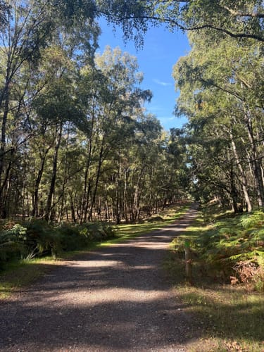 Brachter Wald Rundweg