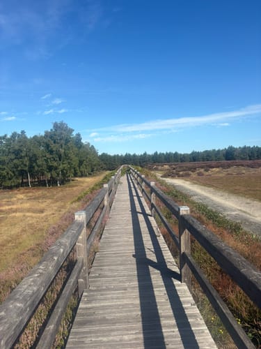 Brachter Wald Rundweg