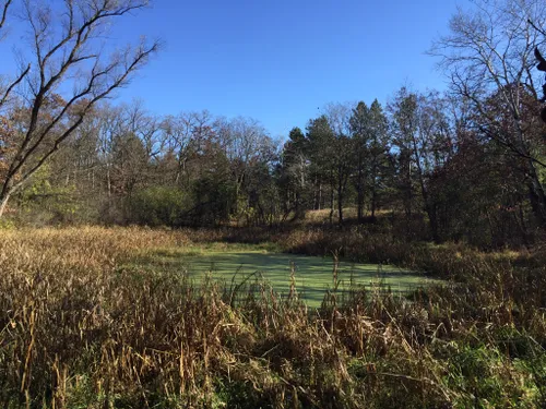 Hiking in Wisconsin's Kettle Moraine – Reading Eagle