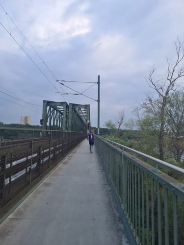 Mainufer: Schlosspark - Zollhafen - Burgpark