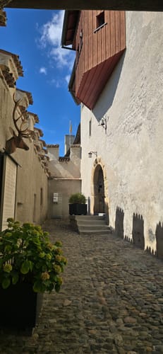 Moos - Stein am Rhein - Burg Hohenklingen
