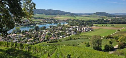 Moos - Stein am Rhein - Burg Hohenklingen