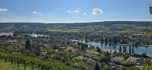 Moos - Stein am Rhein - Burg Hohenklingen