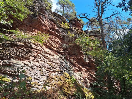 Burg Trifels