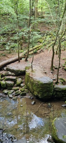 Wäller Tour Hohe Hahnscheid