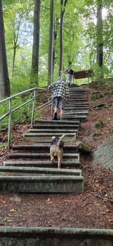 Wäller Tour Hohe Hahnscheid