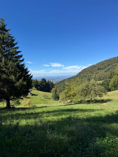 Schnapsbrunnenweg 2