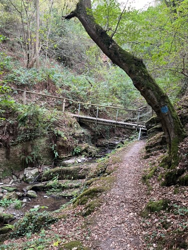 RheinBurgenWeg Etappe 9: Bad Salzig - St. Goar