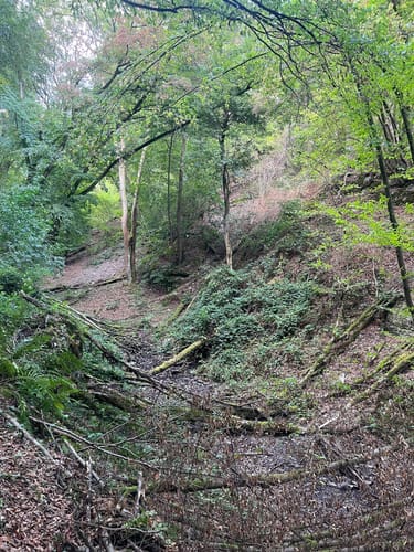 RheinBurgenWeg Etappe 9: Bad Salzig - St. Goar