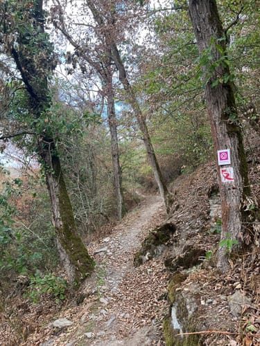RheinBurgenWeg Etappe 9: Bad Salzig - St. Goar