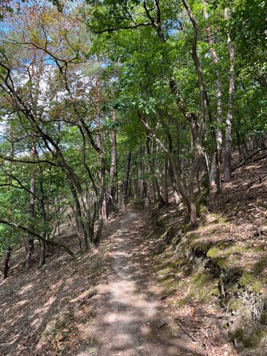 RheinBurgenWeg Etappe 9: Bad Salzig - St. Goar