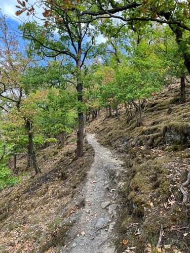 RheinBurgenWeg Etappe 9: Bad Salzig - St. Goar
