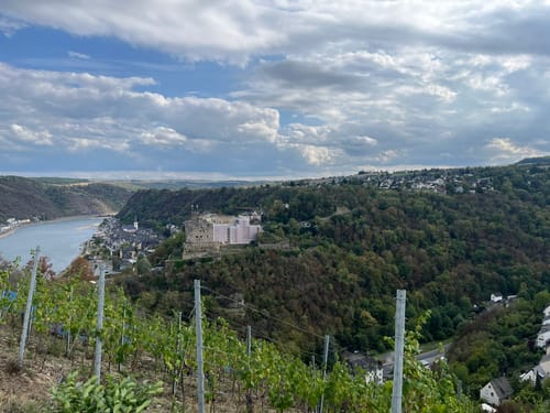 RheinBurgenWeg Etappe 9: Bad Salzig - St. Goar