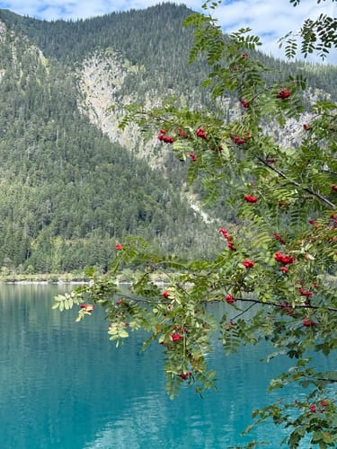 Rund um den Plansee