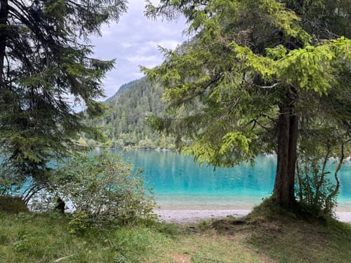 Rund um den Plansee