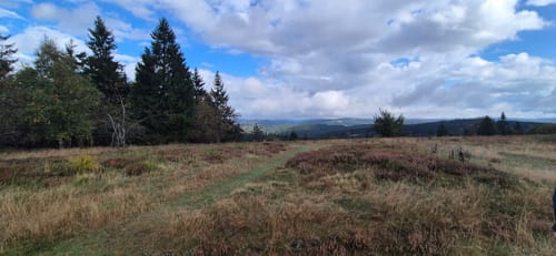 Jugendwanderweg Winterberger Höhentour